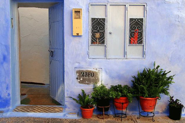 cây cảnh trang trí nội thất nhà ở