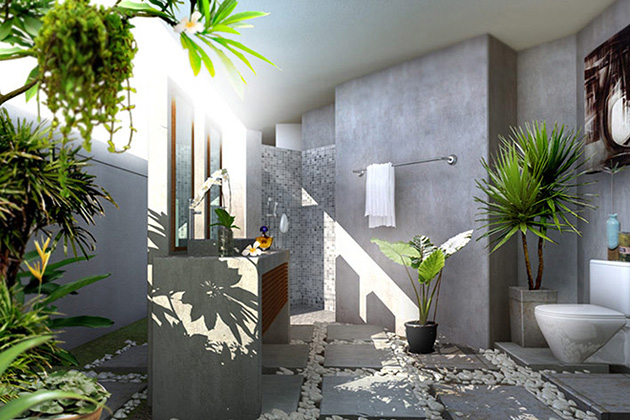 Trang trí nhà bằng cây xanh